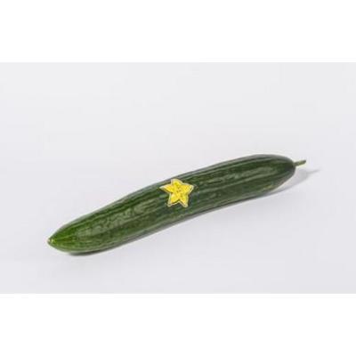 UHORKA ŠALÁTOVÁ HILIGHT KUS