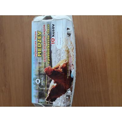 VAJCIA SLEPAČIE 10ks „M“ /PODSTIELKOVÝ CHOV/ FARMA MEDZEV