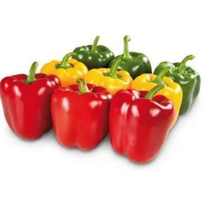 PAPRIKA FAREBNÁ MIX 500g