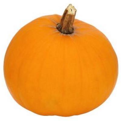 TEKVICA HALLOWEEN /VÁHA/