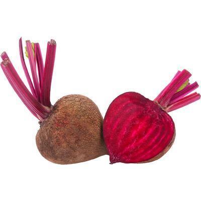 CVIKLA / REPA ČERVENÁ