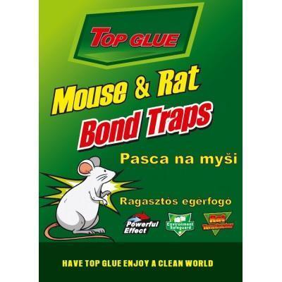 PASCA NA MYŠI TOP GLUE